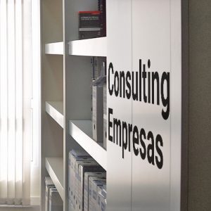 Consulting Empresas