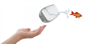 Ley de segunda oportunidad